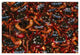 "Christmas Island Red Crab females, Christmas Island" Paper Art, 50"x34"