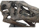 Tyrannosaurus Rex Head Sculpture, Dinosaur Decor