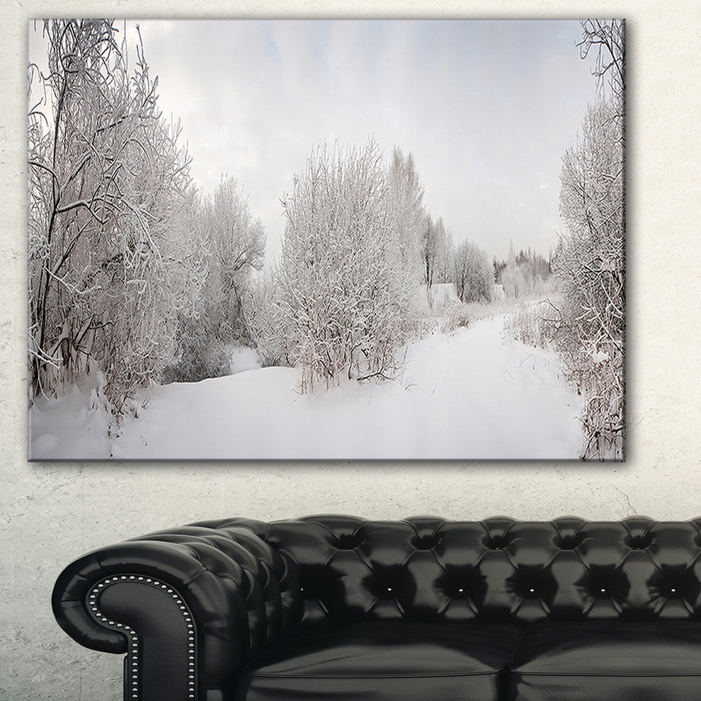 "Frosted Trees" Landscape Canvas Print, 40"x20"