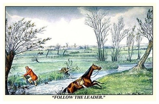 Horse and Rider Climb out of the Stream on Different Sides