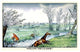 Horse and Rider Climb out of the Stream on Different Sides