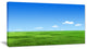 Green Meadow and Blue Sky, Landscape Canvas Art Print, 32"x16"