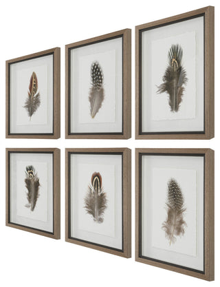 Uttermost Birds Of A Feather Framed Prints, Set of 6