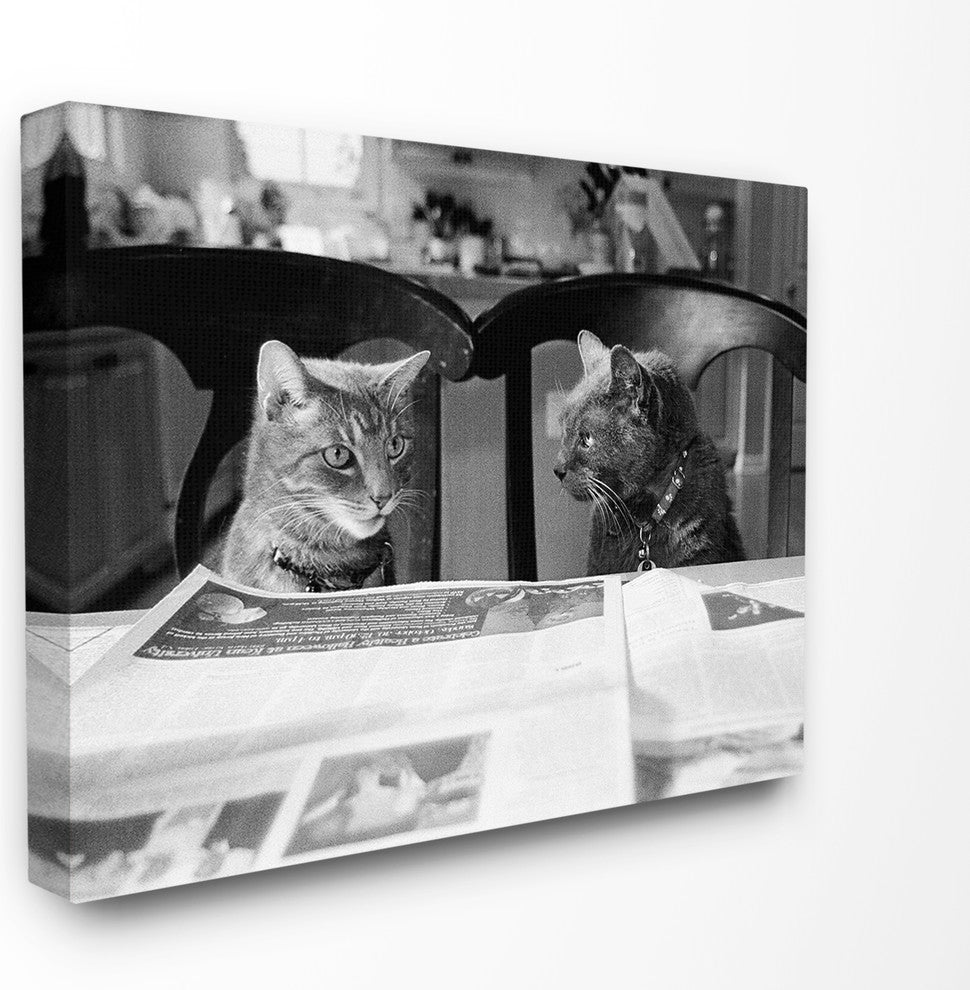 Black And White Cats Gossiping Before Dinner Photograph Canvas, 30"x40"
