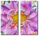 Painted Petals XCII Canvas Art, 2-Piece Set
