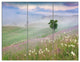 Foggy Summer Morning in Mountains, Landscape Canvas Art Print, 36x28, 3 Panels