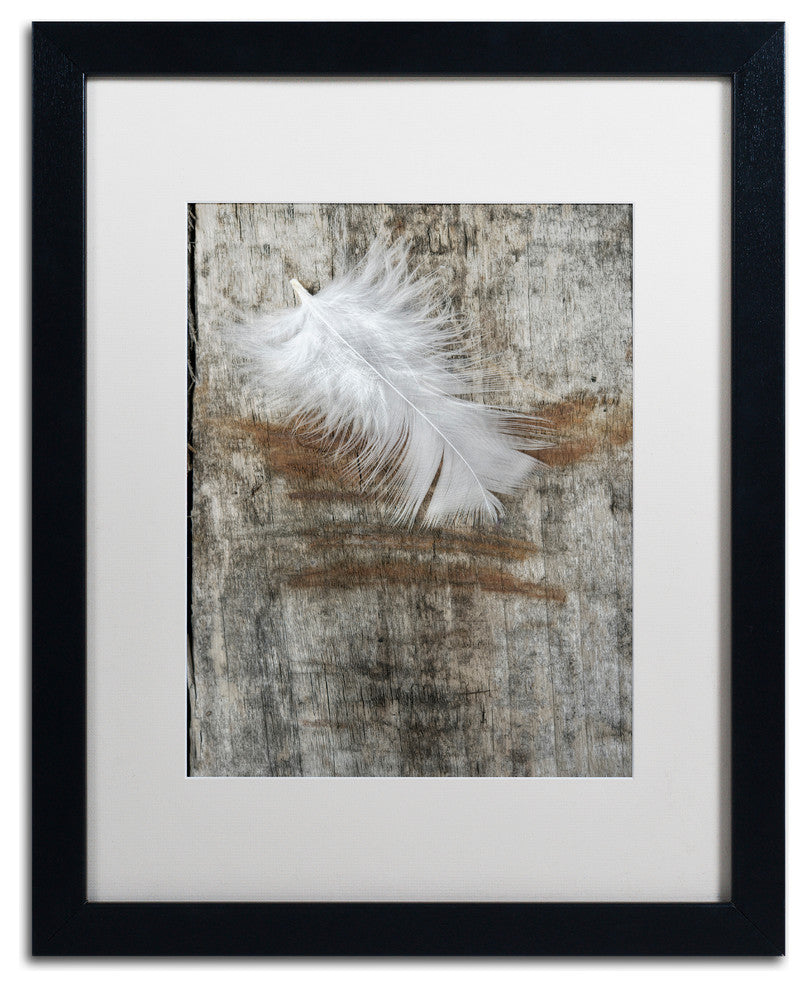 Cora Niele ''White Feather on Wood'' Matted Framed Art