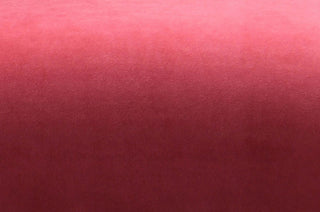 TOV Furniture Magnolia Hot Pink Velvet Chair