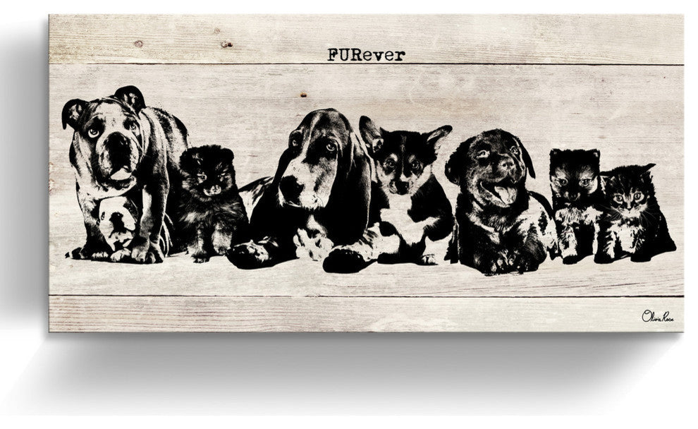 Ready2HangArt ''FURever'' Wrapped Canvas Animal Wall Art, 12"x24"