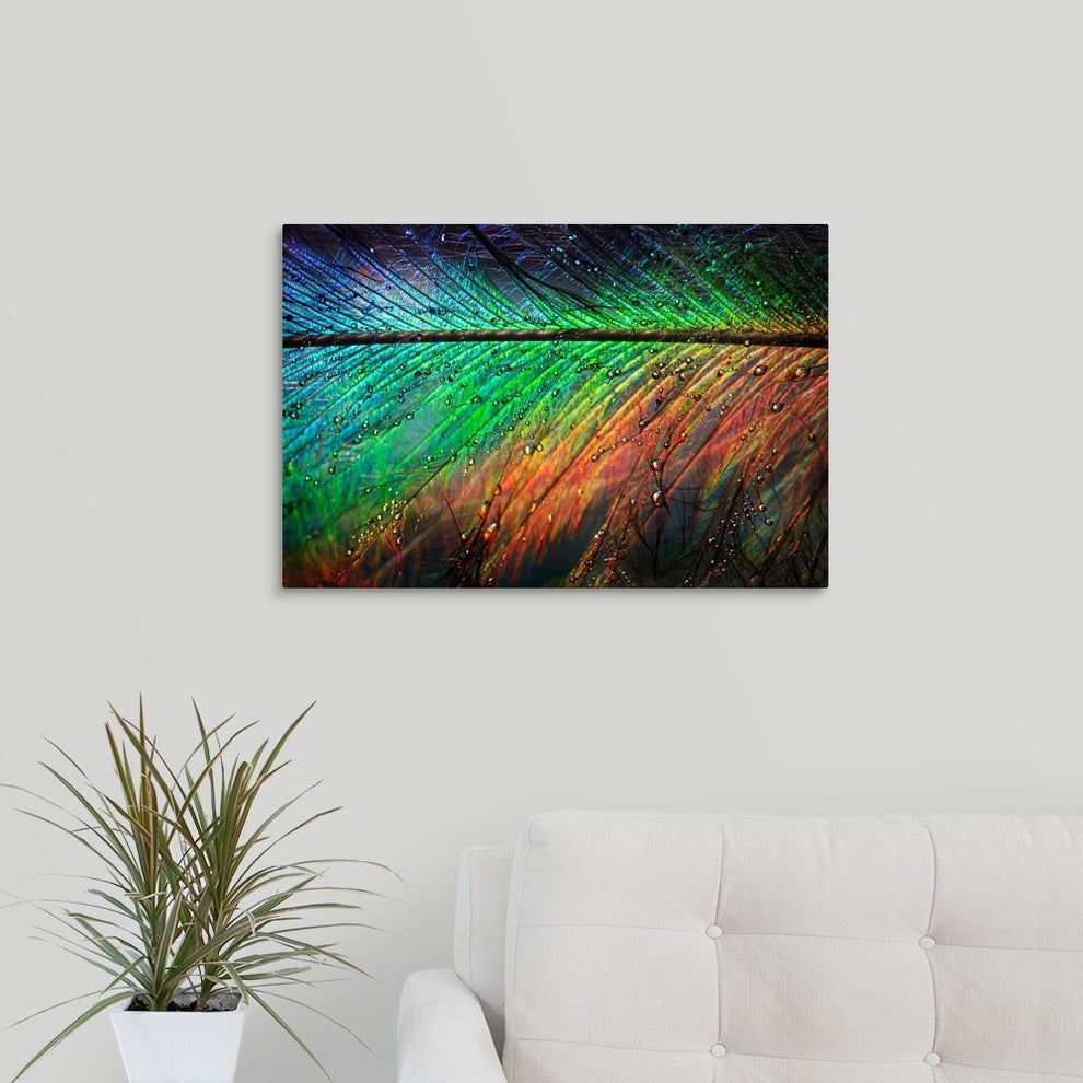"Featherlight " Wrapped Canvas Art Print, 24"x16"x1.5"