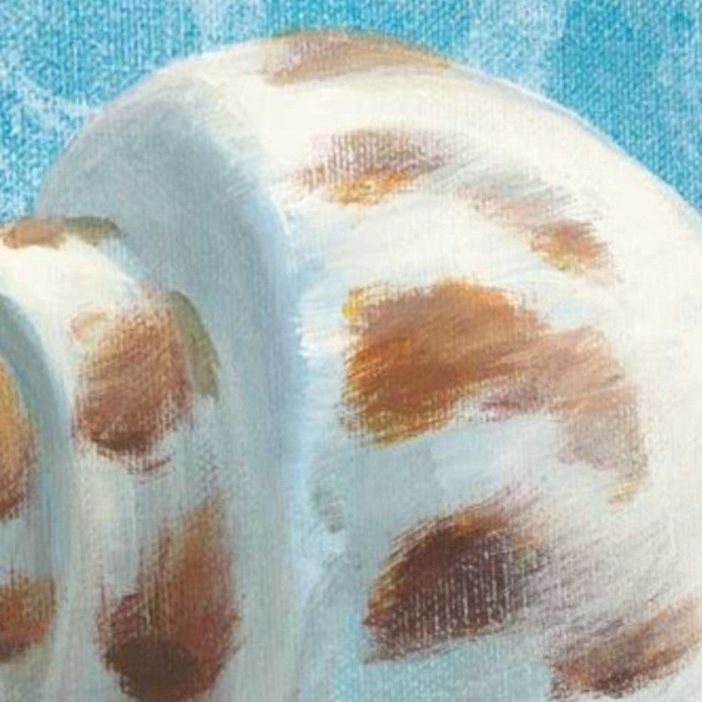 25" Mod Blue Scroll Coastal Conch 2 Giclee Wrap Canvas Wall Art