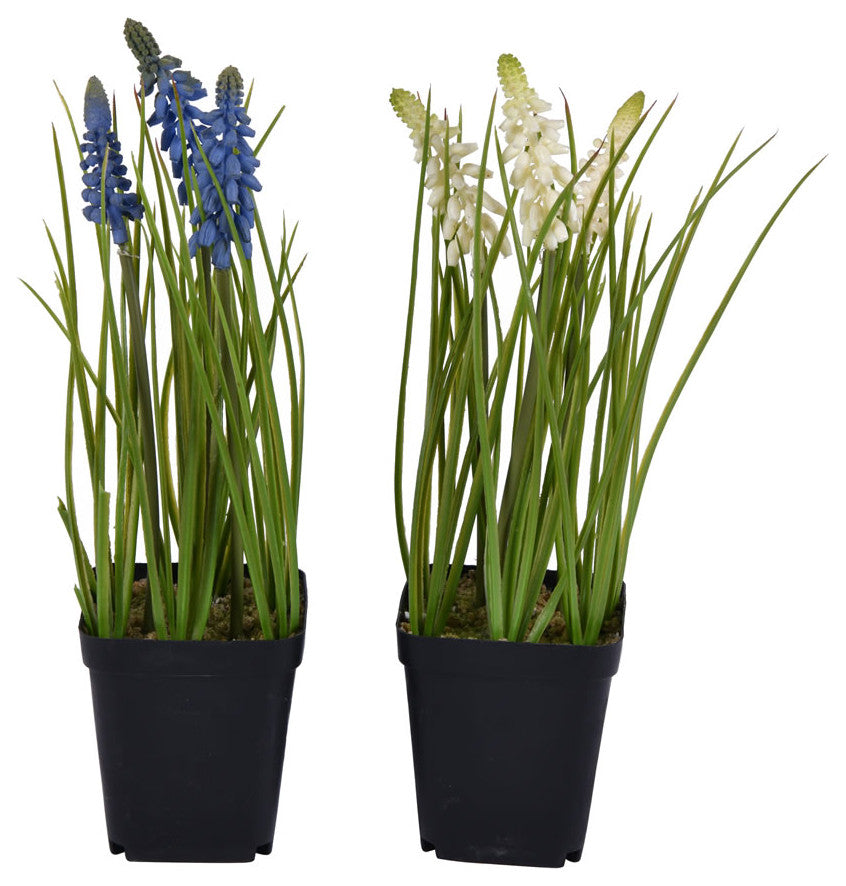 Vickerman 11" Purple and Cream Hyacinth, Set of 3