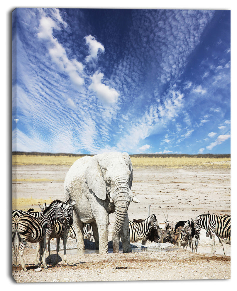 Huge White Elephant and Zebras, Abstract Canvas Art Print, 30"x40"