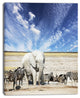 Huge White Elephant and Zebras, Abstract Canvas Art Print, 30"x40"