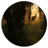 Deer In Sunset In Deep Forest, Forest Disc Metal Wall Art, 38"