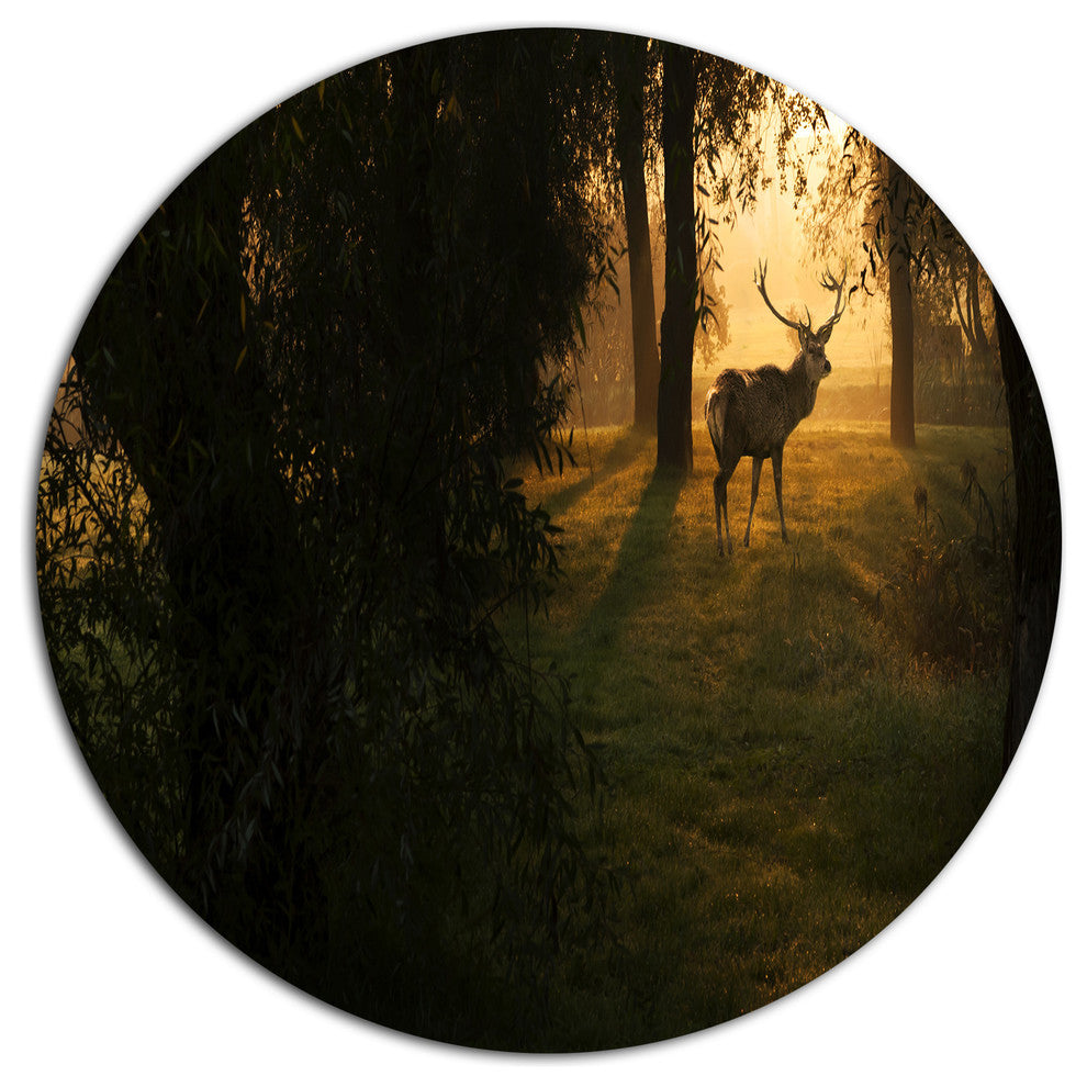 Deer In Sunset In Deep Forest, Forest Disc Metal Wall Art, 38"