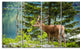 "Deer Stag Near the Lake" Canvas Print, 4 Panels