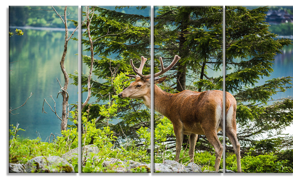 "Deer Stag Near the Lake" Canvas Print, 4 Panels