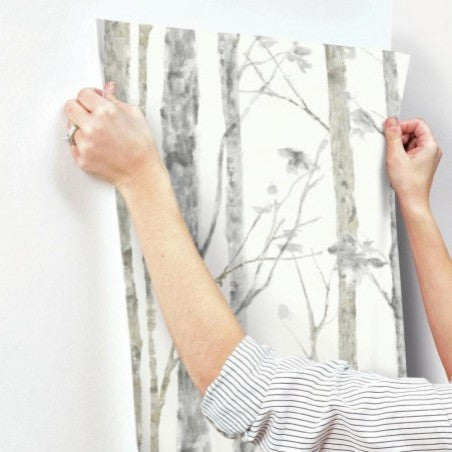 Birch Trees Peel and Stick Wallpaper