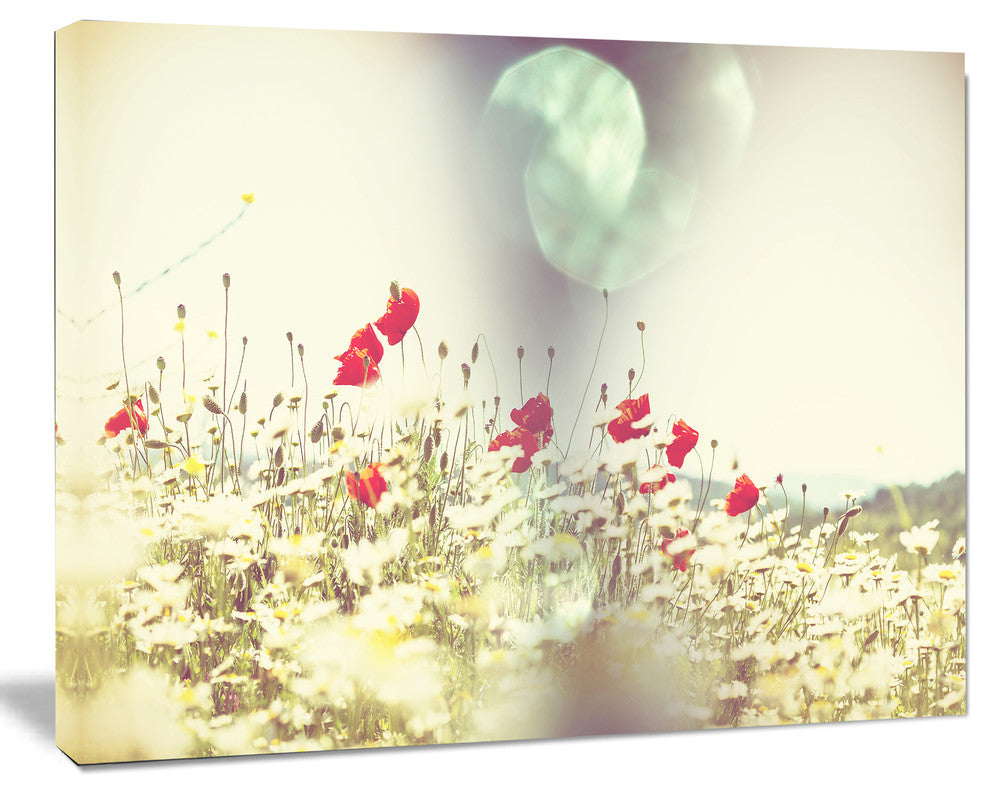 Red and White Poppy Flowers Field, Large Flower Canvas Art Print, 40"x30"