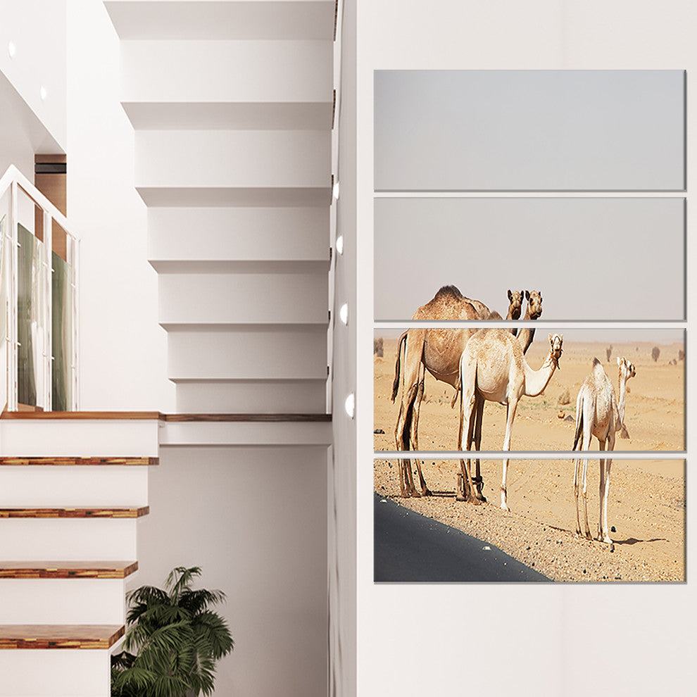 Camels in Sunny Sahara Desert, Animal Canvas Art Print, 28"x48", 4 Panels