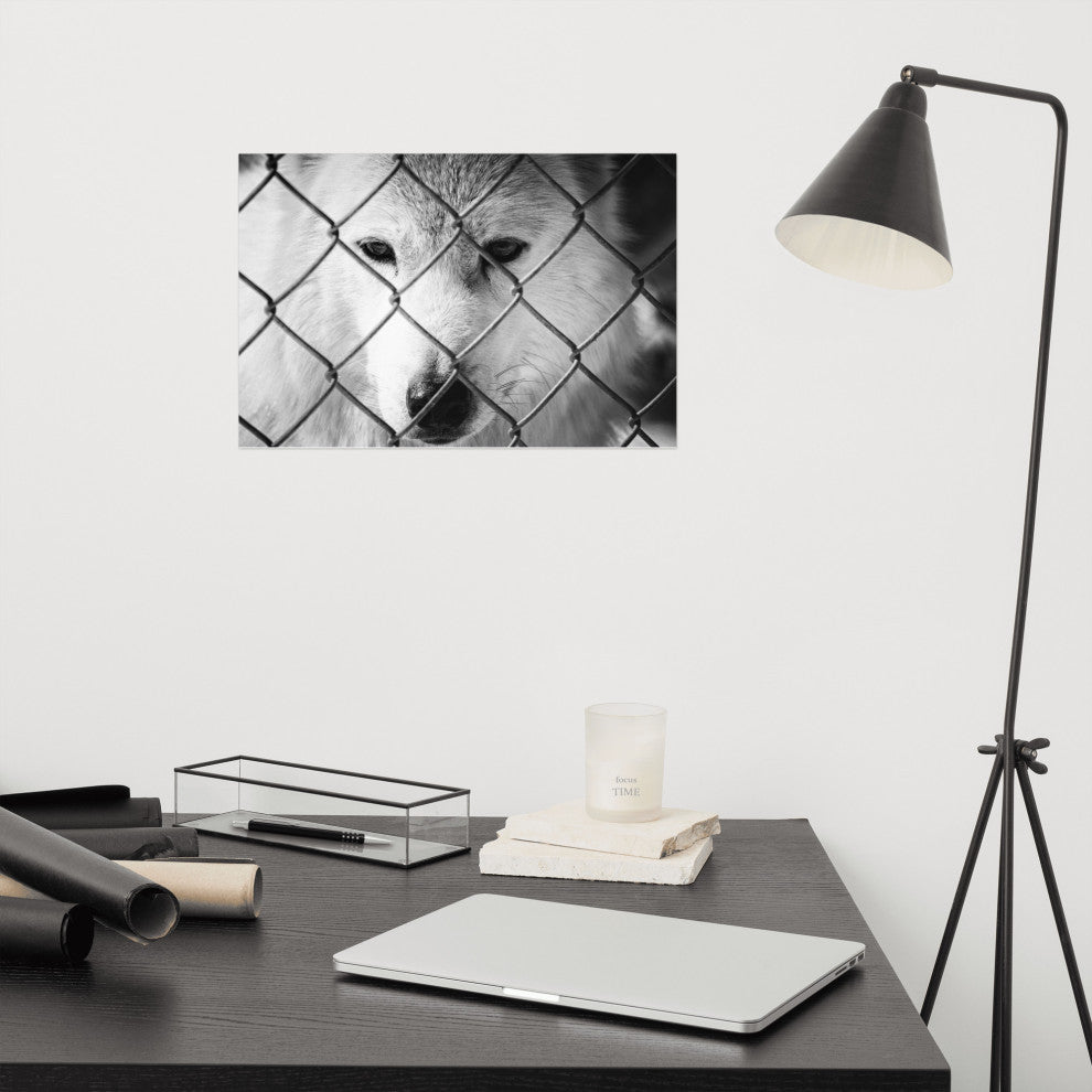 Dreams of Freedom Black & White Wildlife Photo (Wolf) Unframed Wall Art Print, 12" X 18"