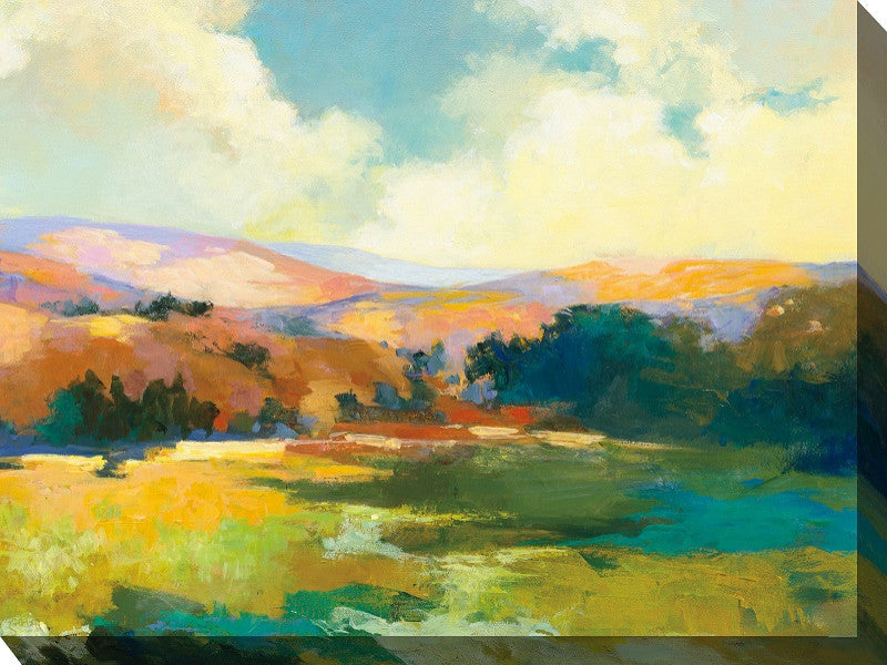 Valley Of Light Outdoor Art 40X30