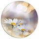 Chamomiles On Blue Background, Floral Disc Metal Artwork, 36"