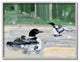 Abstract Pond Ducks Green Yellow Animal Painting, 16"x20", Gray Frame