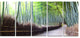 "Kyoto Bamboo Forest Pathway" Forest Canvas Wall Art Print, 5 Panels, 60"x28"