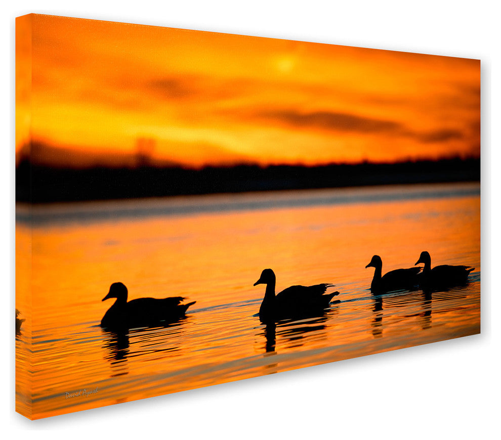 'Jamaica Bay Sunset - NYC II' Canvas Art by David Ayash