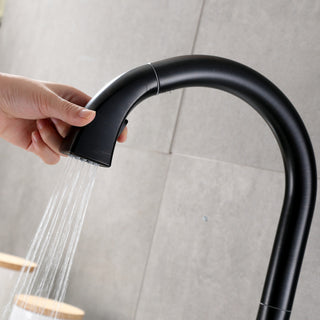 Luxier KTS20-T Single-Handle Pull-Down Sprayer Kitchen Faucet, Oil Rubbed Bronze