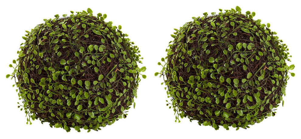 9" Mohlenbechia Ball, Set of 2
