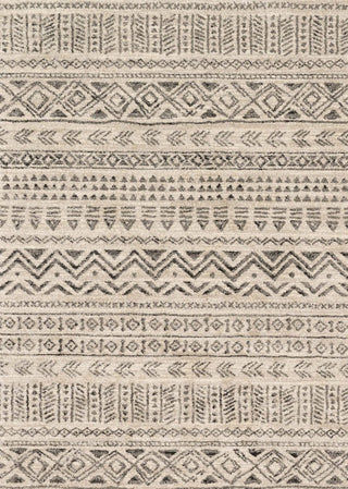Easy Care, Stain/Fade Resistant Emory Area Rug, 3'10"x5'7"