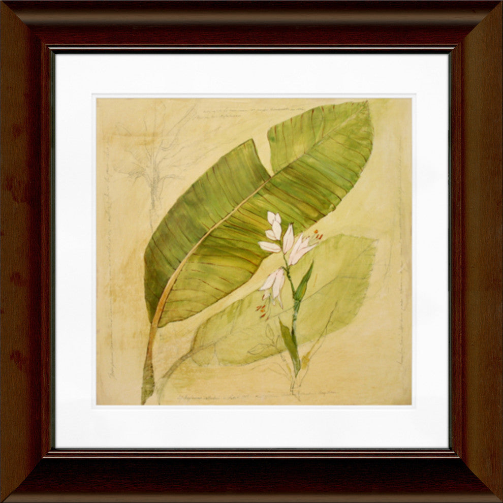 12"x12" Botanical Study I Matted Framed Art