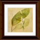 12"x12" Botanical Study I Matted Framed Art