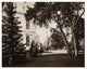 "Thurlow Lodge, Menlo Park - Lawn and House, 1874" Paper Art, 18"x15"