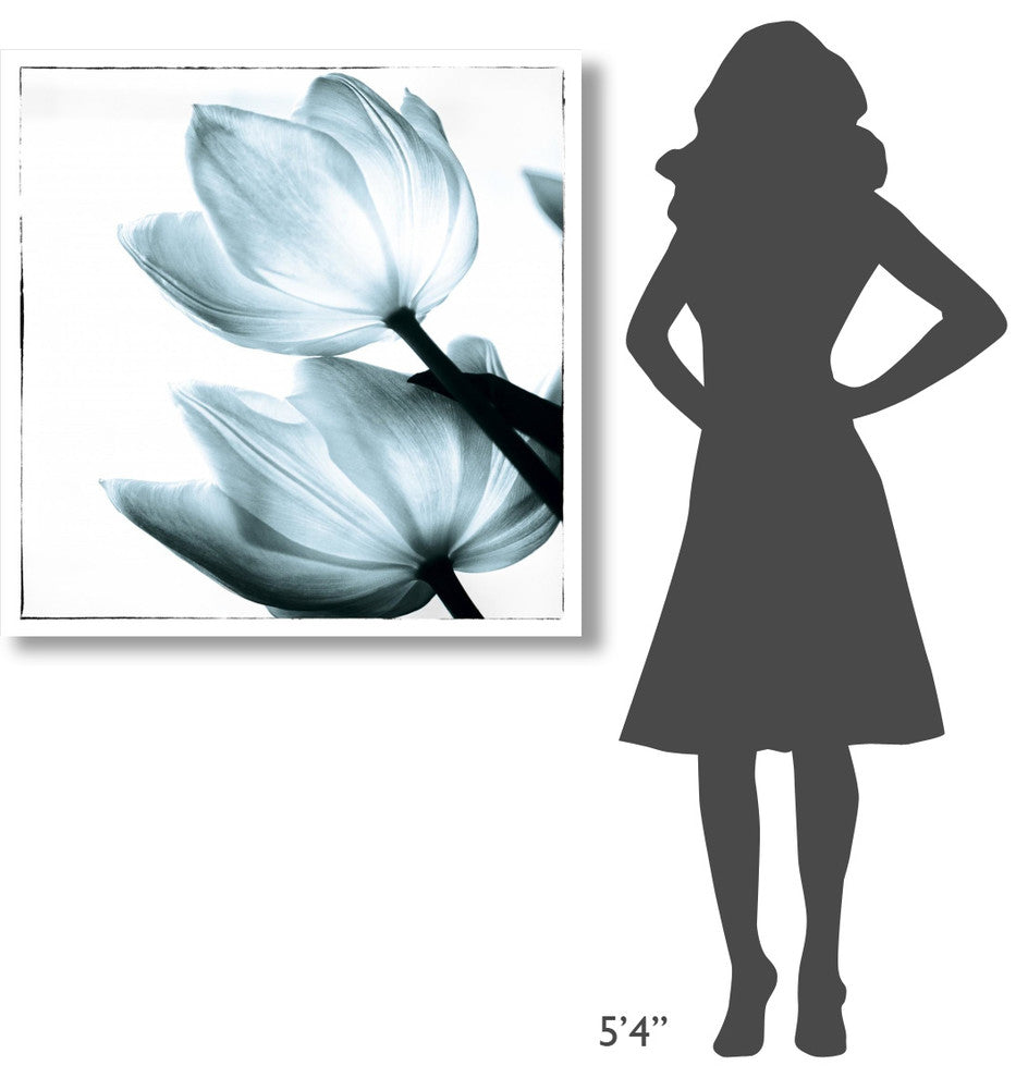 "Translucent Tulips II Sq Aqua" Paper Print by Debra Van Swearingen, 38"x38"