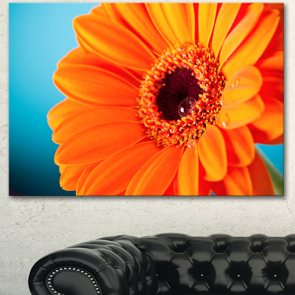Orange Daisy Gerbera Flower Close up, Flowers Canvas Wall Artwork, 40"x30"