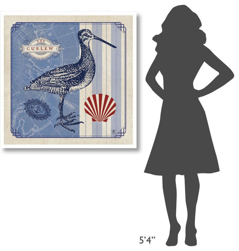 "Sea Bird III" Digital Paper Print by Studio Mousseau, 38"x38"