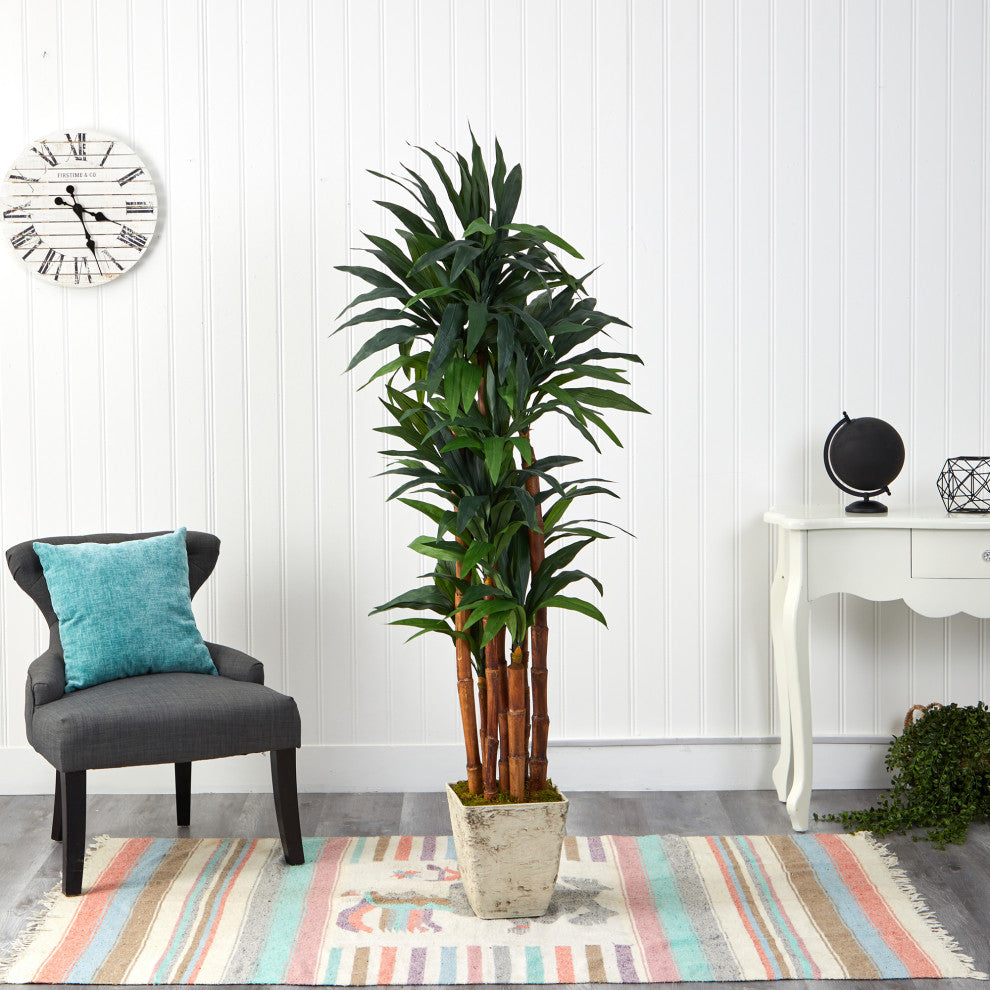 69" Dracaena Artificial Tree, Country White Planter