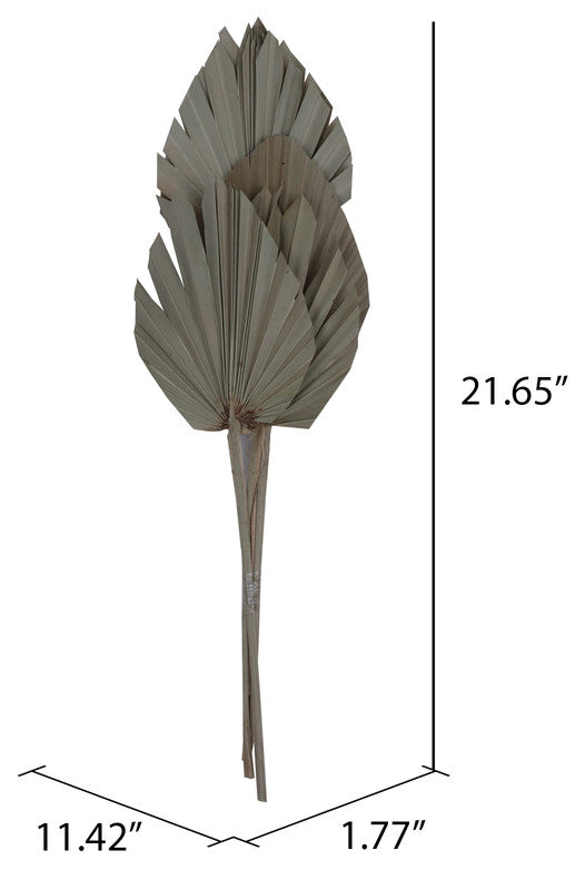 Vickerman Natural Botanicals 21" King Palm Spear, Natural, 21"