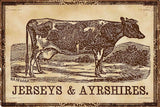 "Cows Jerseys" Painting Print on Canvas