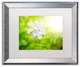 PIPA Fine Art 'Beauty of the Forest Floor' Matted Framed Art, 20x16