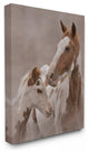 Horse Family Photograph Oversized Stretched Canvas Wall Art, 24"x30"