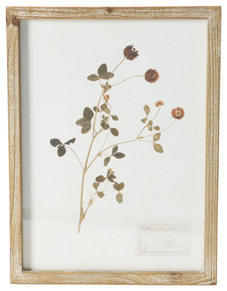 Wood Framed Wall Decor with Botanicals, 6 Styles