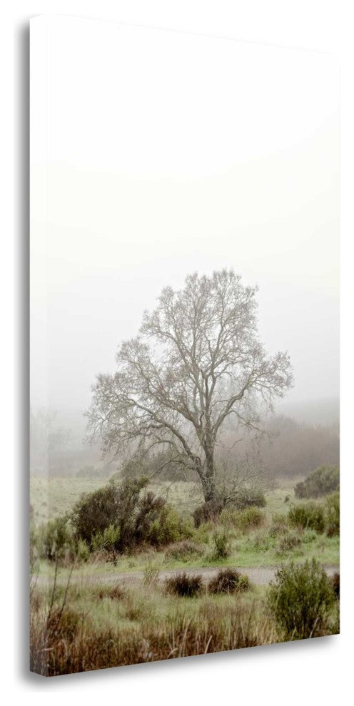 "Oak Tree - 56" By Alan Blaustein, Giclee Print on Gallery Wrap Canvas
