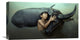 "Peaceful" Stretched Canvas Giclee by Fahmi Bhs, 22x12"