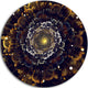 Yellow Fractal Flowers With Violet, Digital Art Disc Metal Artwork, 23"