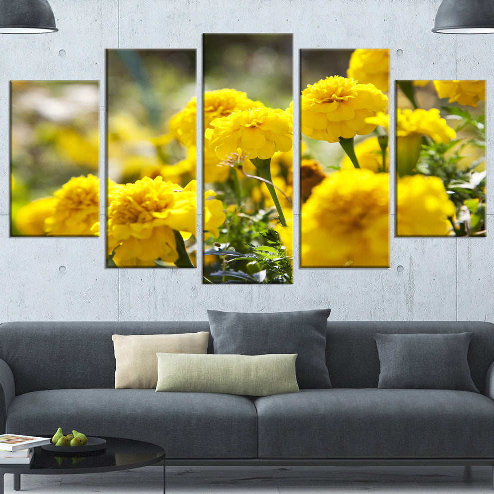 Bright Yellow Marigold Flowers, Floral Canvas Art Print, 60"x32", 5 Panels